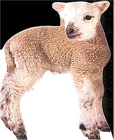 L'agneau