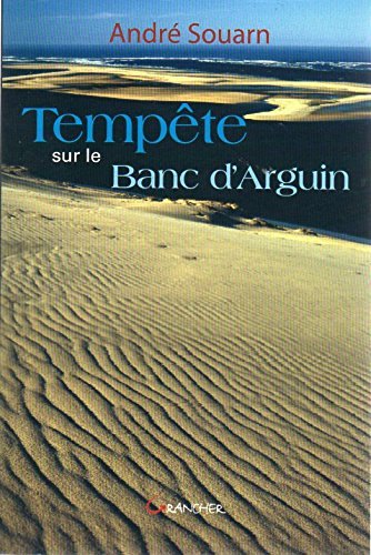 Tempête sur le banc d'Arguin