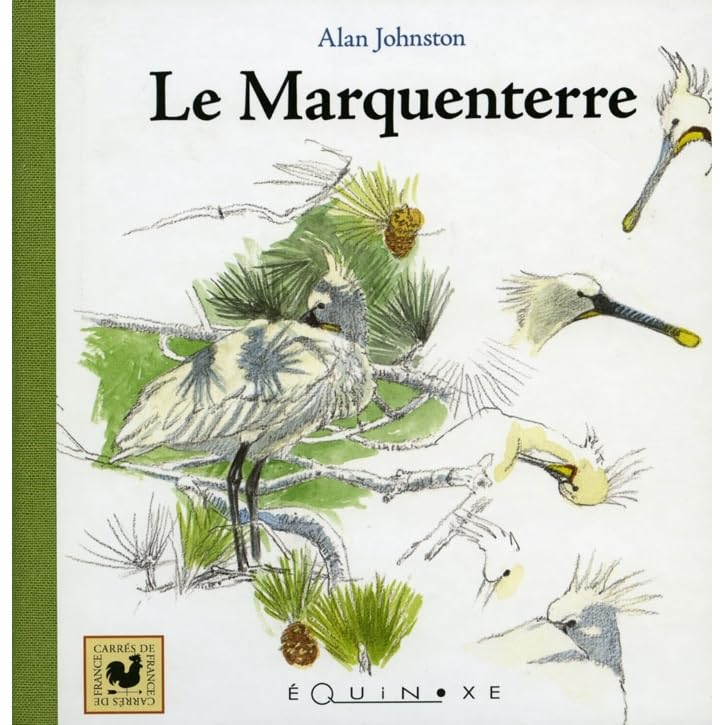 Le Marquenterre : d'une hirondelle à l'autre