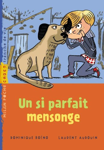 Un si parfait mensonge