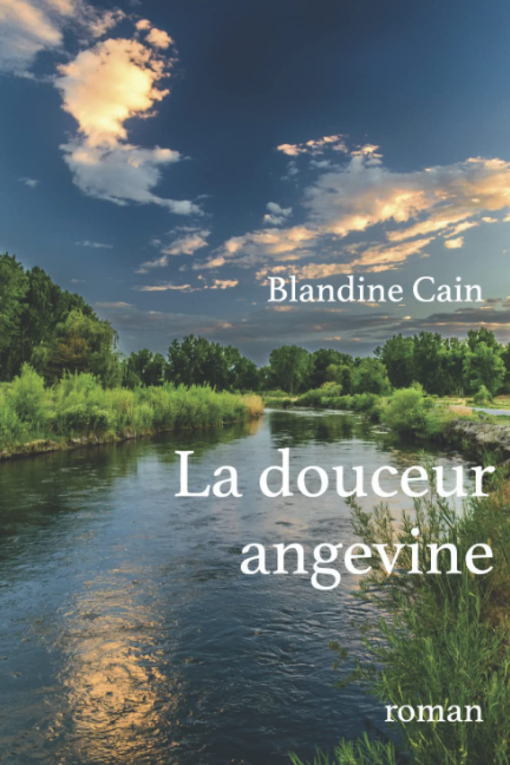 La douceur angevine: roman