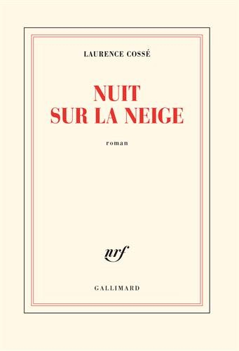 Nuit sur la neige