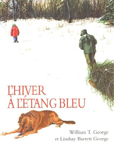 l'hiver a l'etang bleu