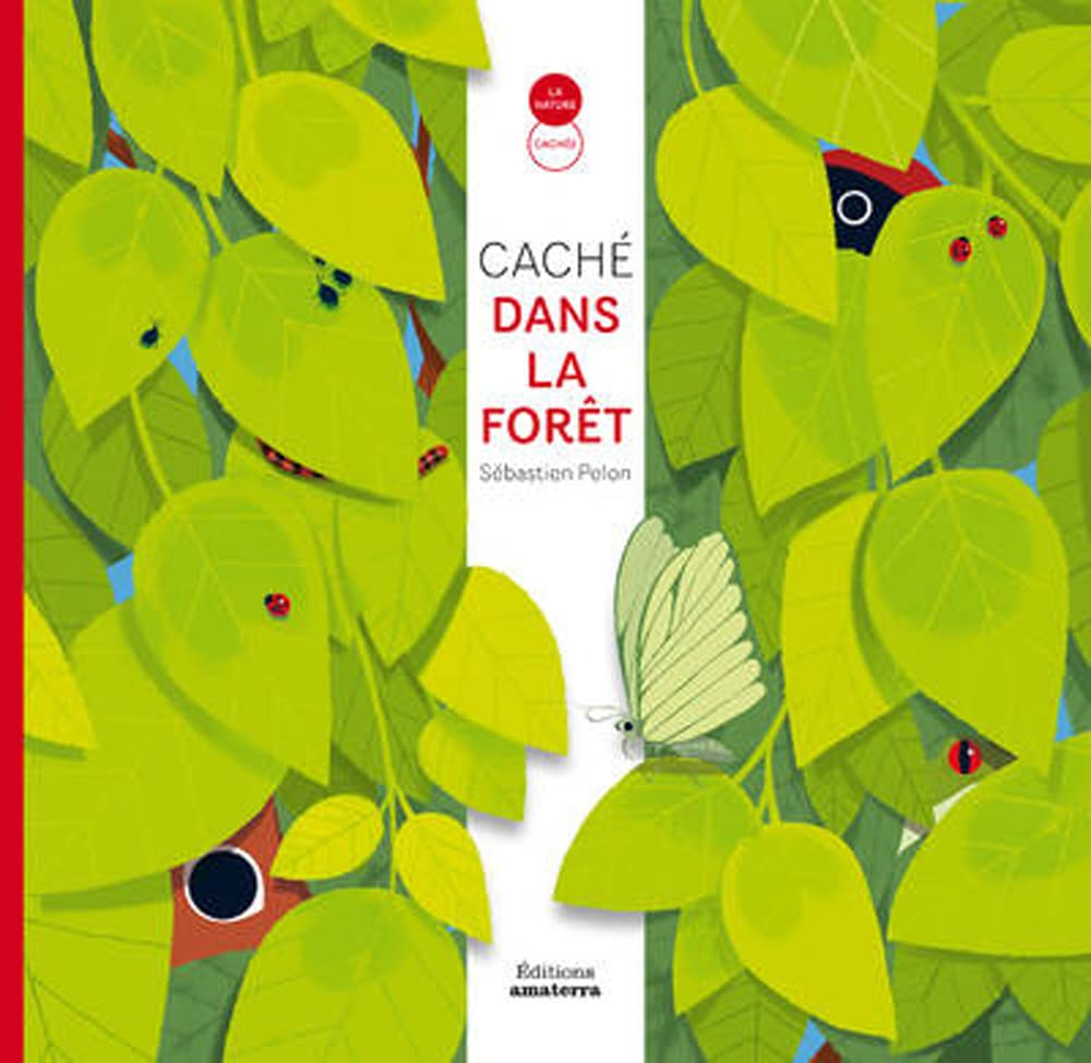Caché dans la forêt