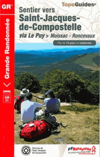 Sentier vers Saint-Jacques-de-Compostelle. Via Le Puy : Moissac-Roncevaux, GR 65 : plus de 15 jours 