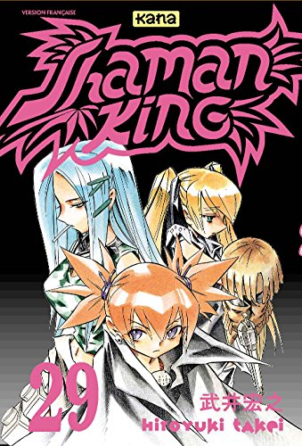 Shaman king. Vol. 29
