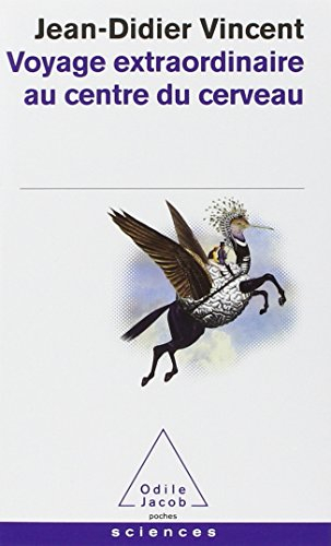 Voyage extraordinaire au centre du cerveau