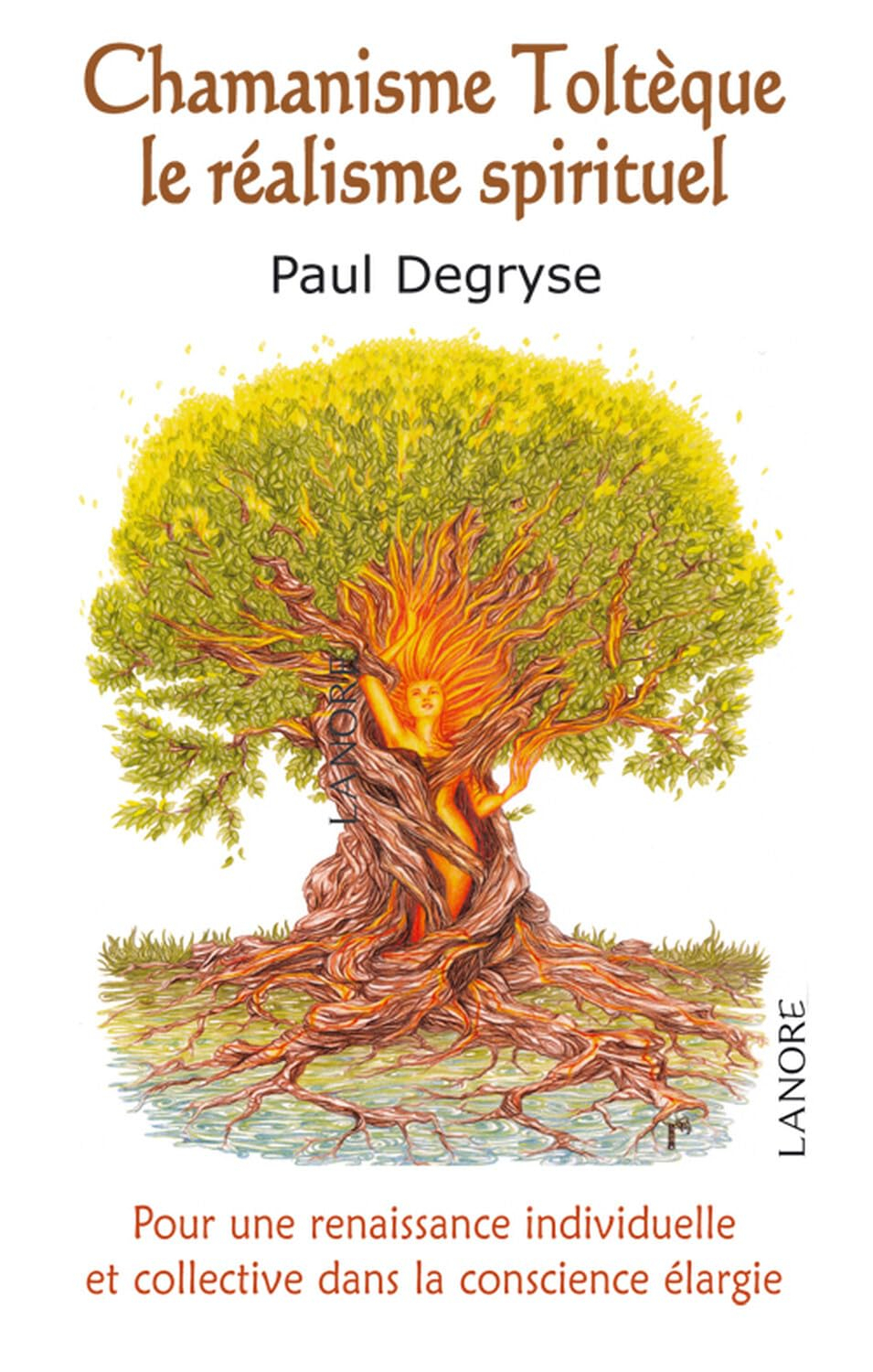 Chamanisme Toltèque, le réalisme spirituel : pour une renaissance individuelle et collective dans la