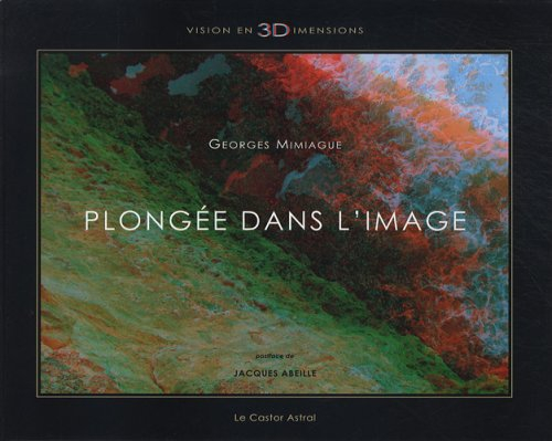 Plongée dans l'image