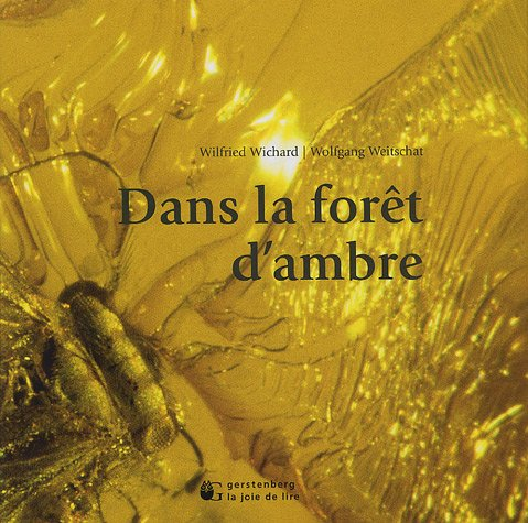 Dans la forêt de l'ambre