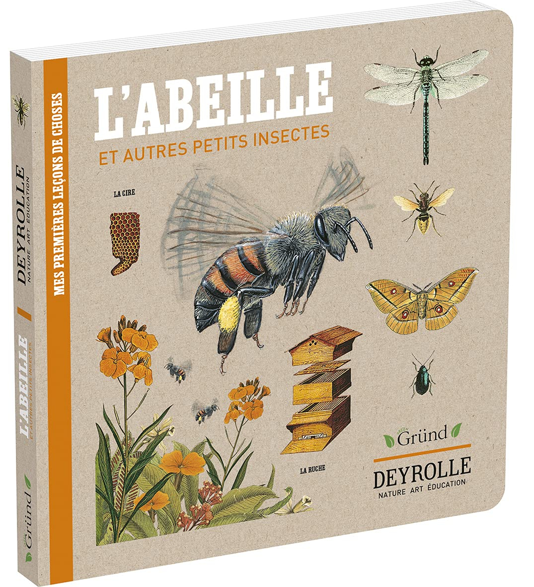 Mes premières leçons de choses. L'abeille : et autres petits insectes