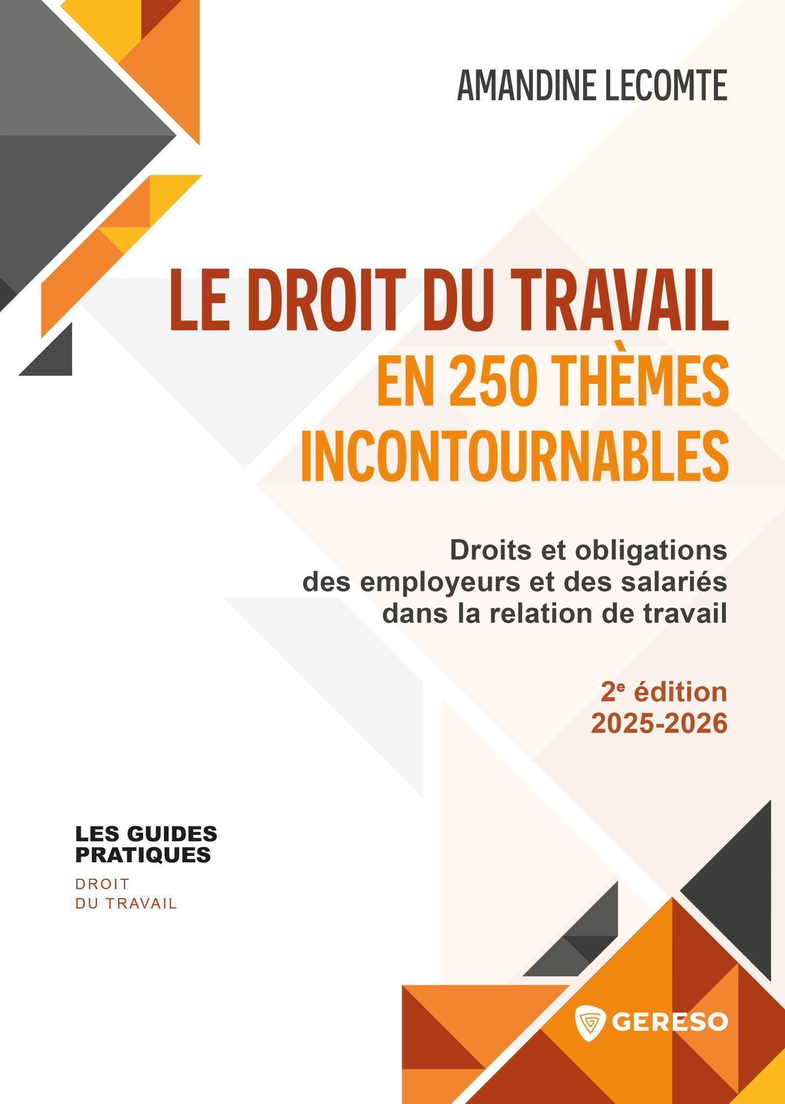 Le droit du travail en 250 thèmes incontournables : droits et obligations des employeurs et des sala