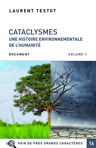 Cataclysmes : une histoire environnementale de l'humanité