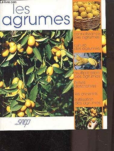 Les agrumes