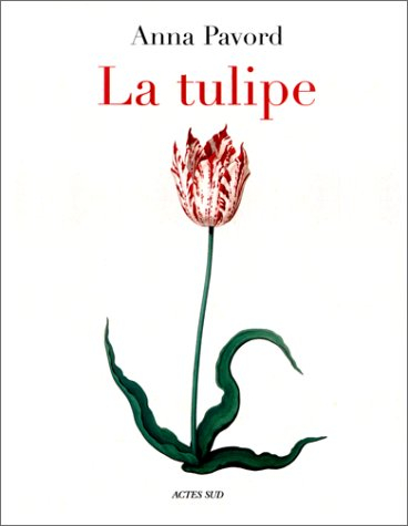 La tulipe