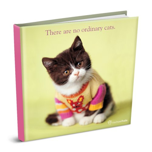 there are no ordinary cats