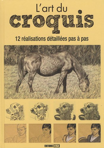 L'art du croquis : 12 réalisations détaillées pas à pas