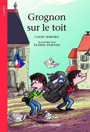 Grognon sur le toit