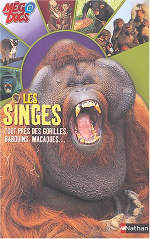 Les singes : tout près des gorilles, babouins, macaques