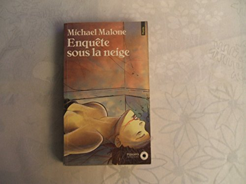 enquete sous la neige : roman