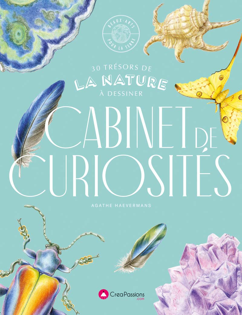 Cabinet de curiosités : 30 trésors de la nature à dessiner