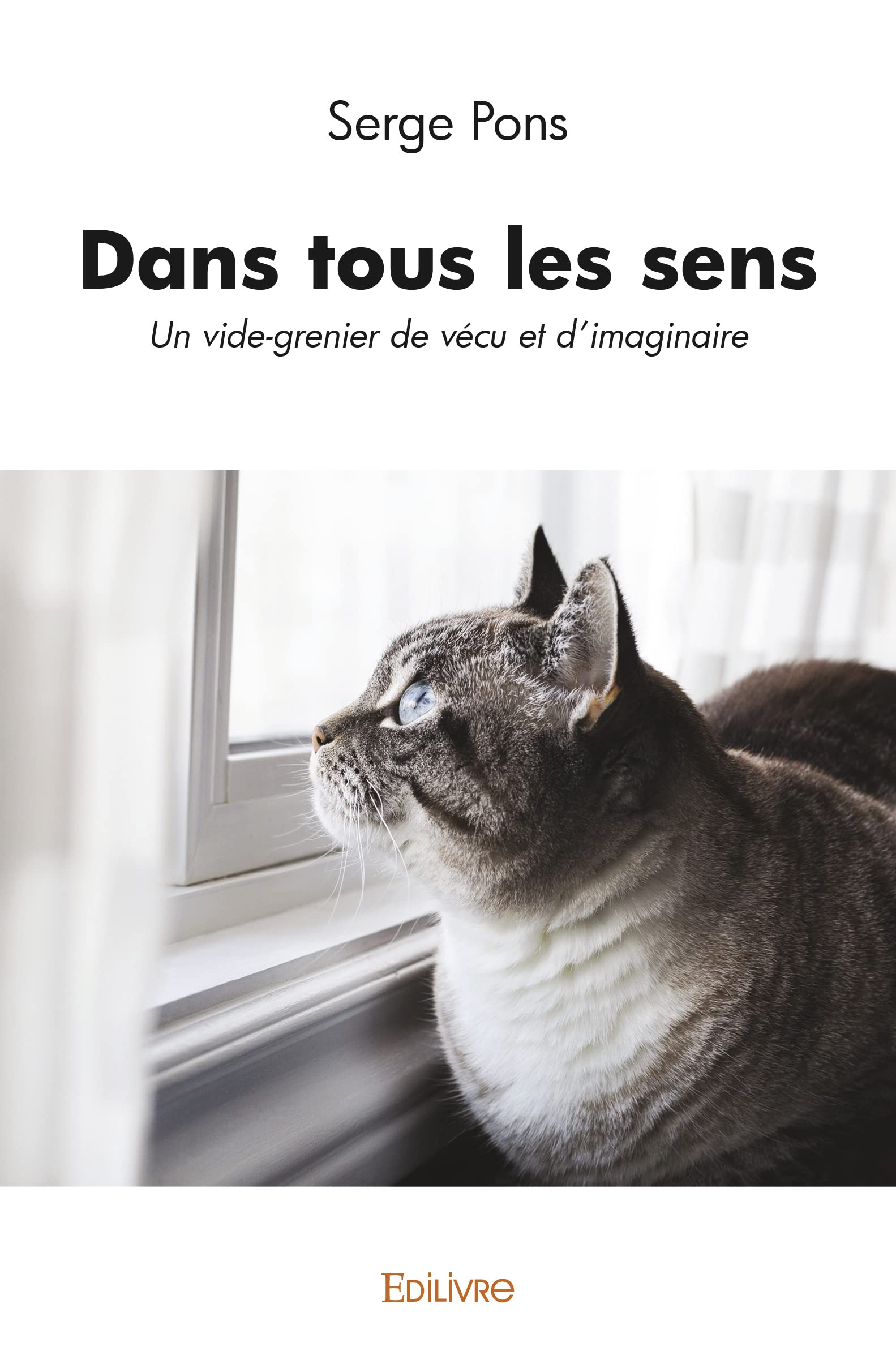 Dans tous les sens : Un vide-grenier de vécu et d'imaginaire
