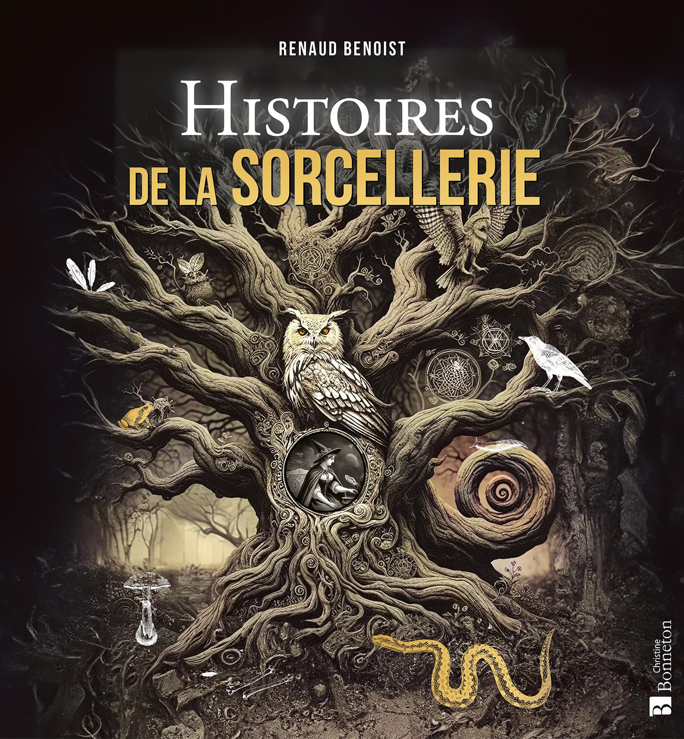 Histoires de la sorcellerie