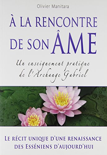 A la rencontre de son âme : un enseignement pratique de l'archange Gabriel : le récit unique d'une r