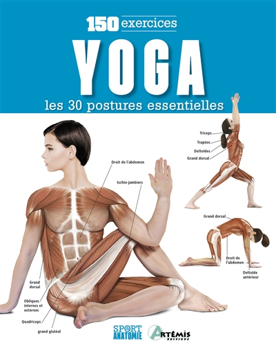 Yoga : les 30 postures essentielles : 150 exercices