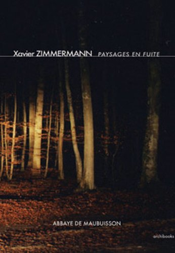Paysages en fuite