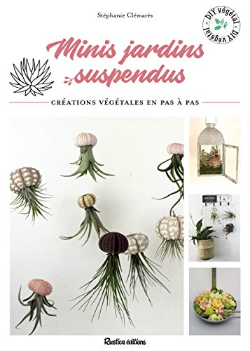 Mini jardins suspendus : créations végétales en pas à pas