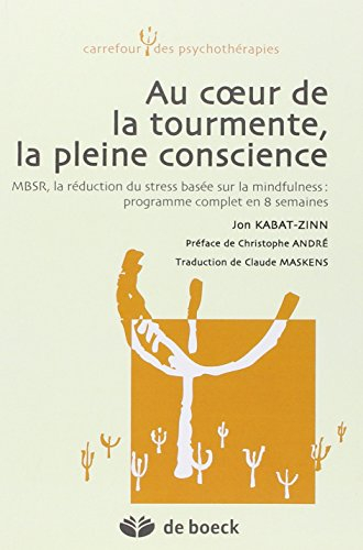 Au coeur de la tourmente, la pleine conscience : MBSR, la réduction du stress basée sur la mindfulne