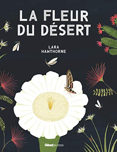 La fleur du désert