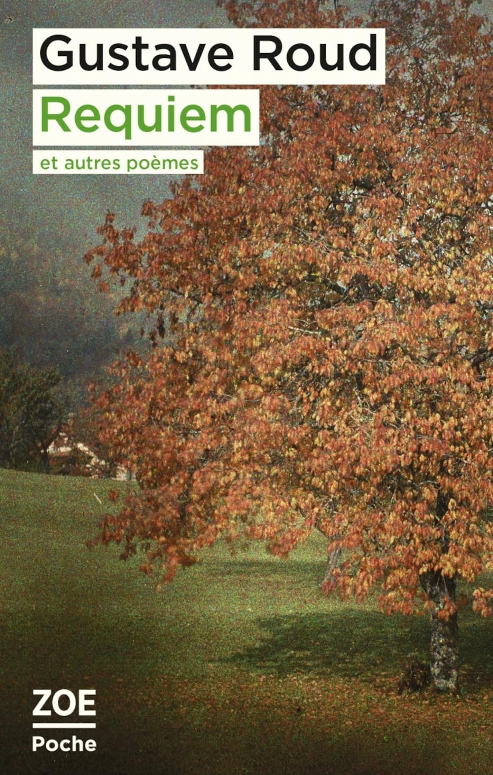 Requiem : et autres poèmes