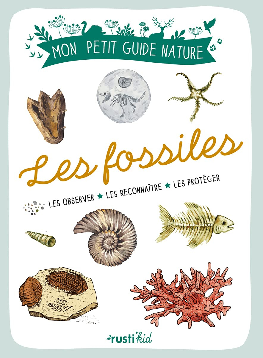 Les fossiles : les trouver, les identifier, les collectionner
