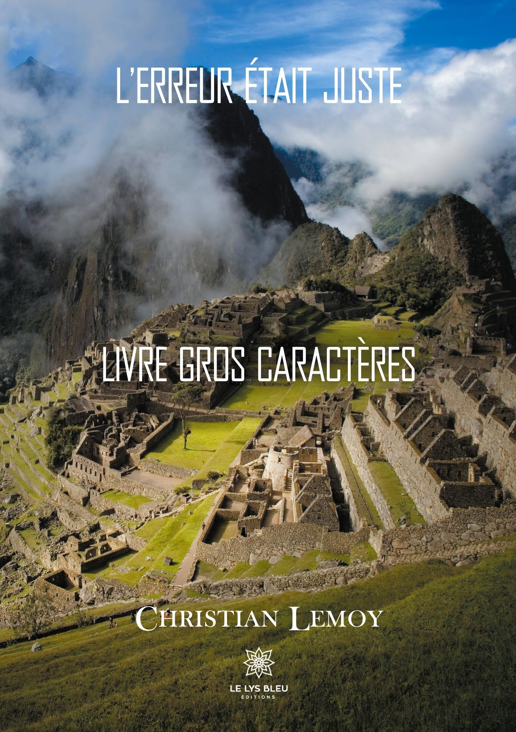 L’erreur était juste : Livre gros caractères