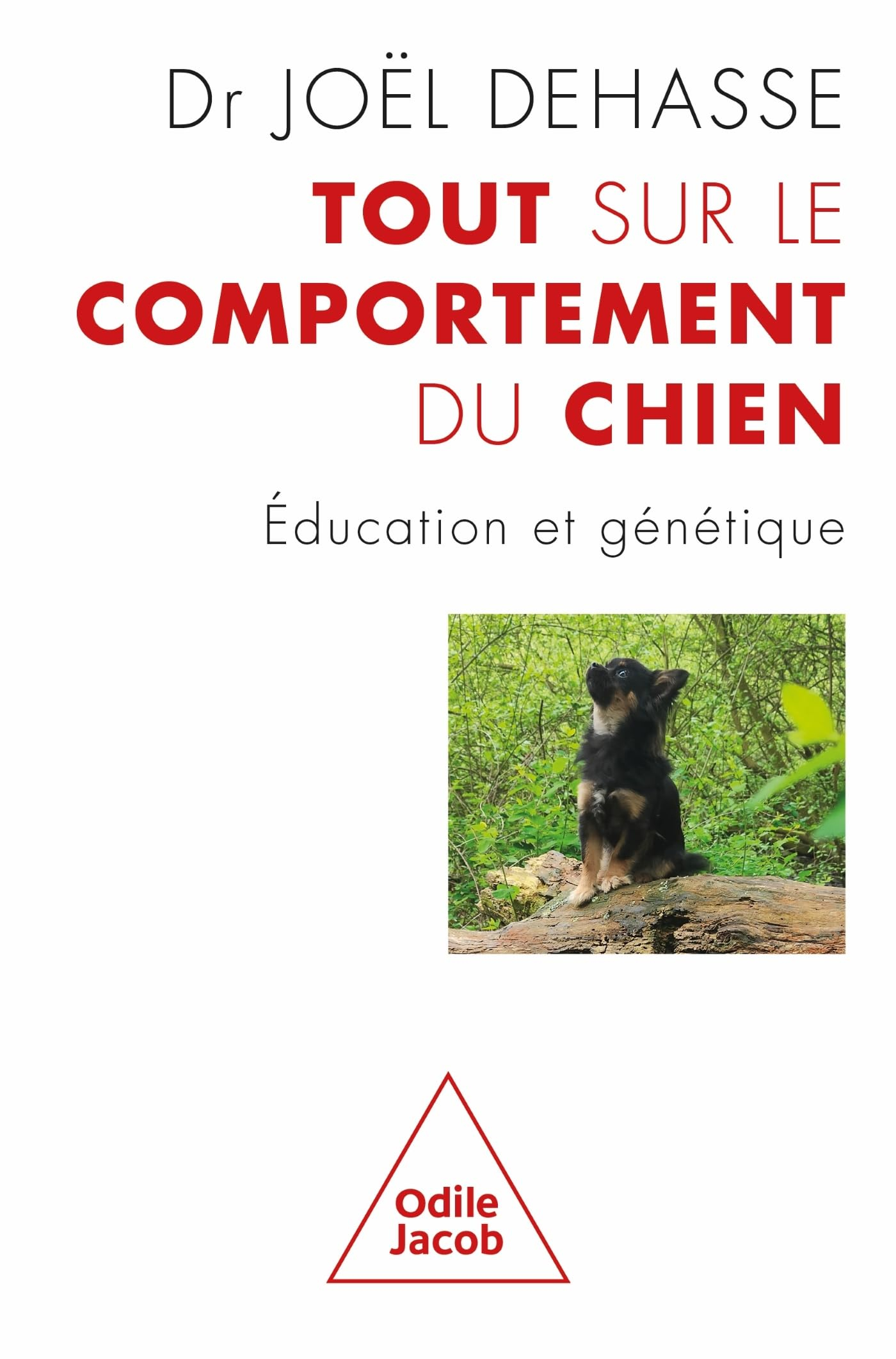 Tout sur le comportement du chien : éducation et génétique