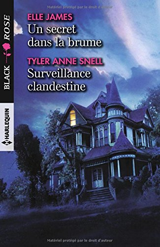 Un secret dans la brume. Surveillance clandestine