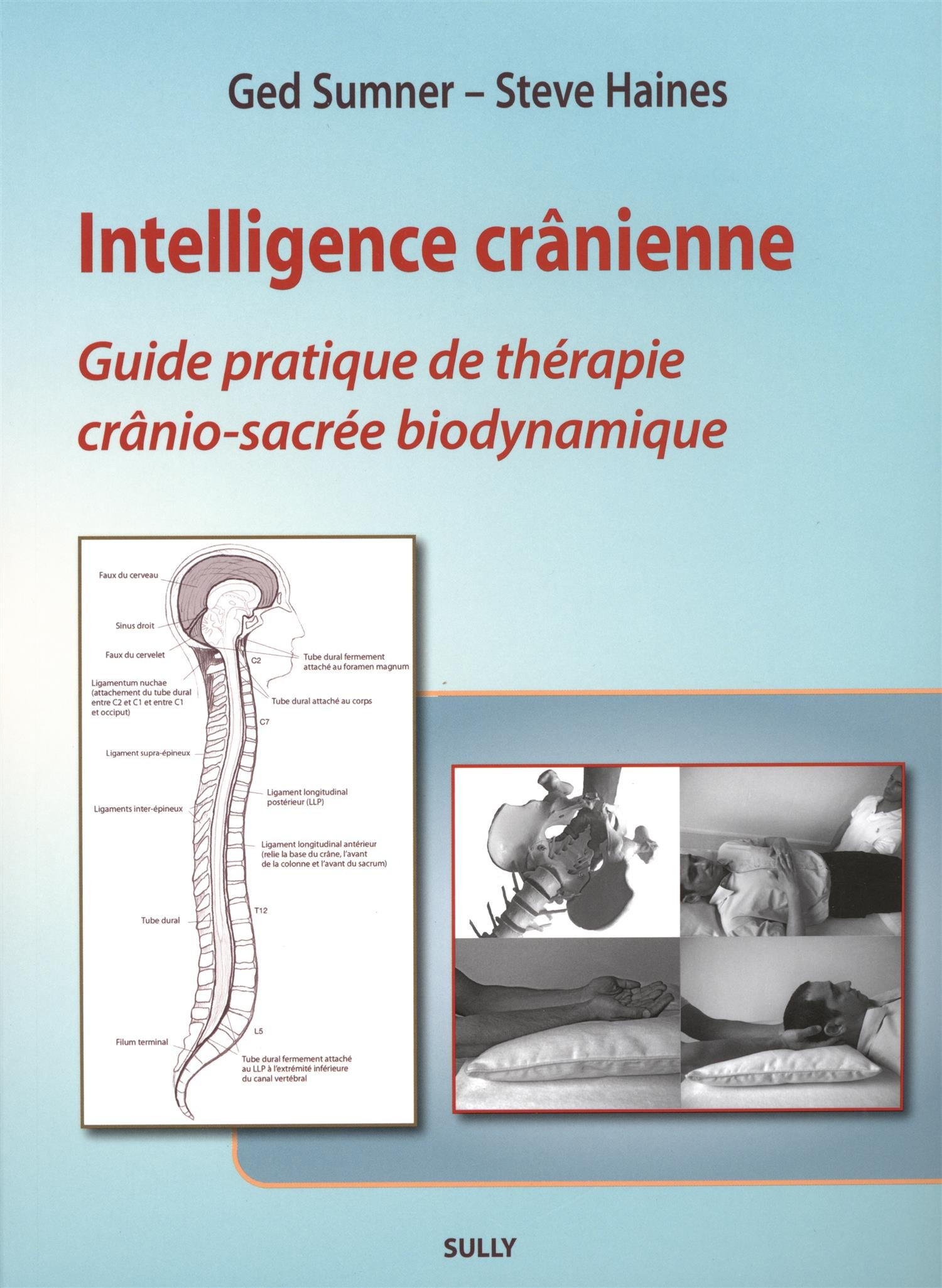 Intelligence crânienne : guide pratique de thérapie crânio-sacrée biodynamique