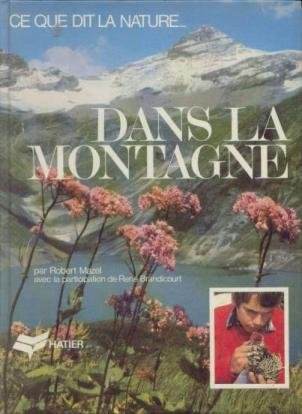 Dans la montagne