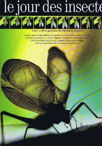 Le Jour des insectes