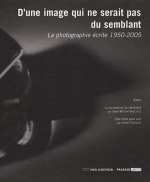 d'une image qui ne serait pas du semblant : exposition, paris, passage de retz, du 15 novembre 2004 