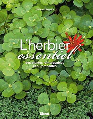 L'herbier essentiel des plantes remarquables et surprenantes