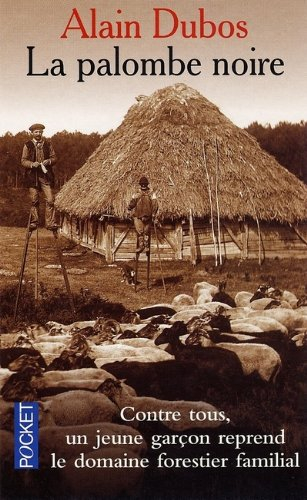 La palombe noire