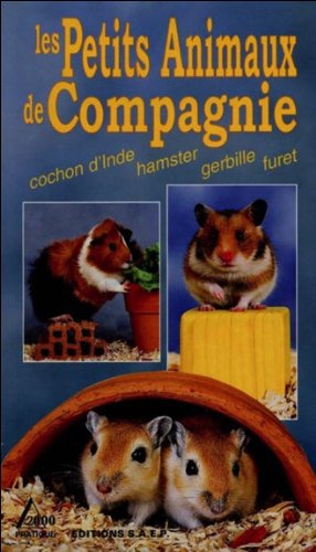 Petits animaux de compagnie : cochon d'Inde, hamster, gerbille, furet