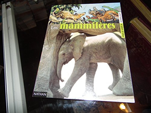 mammifères