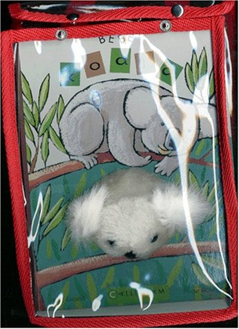Bébé koala