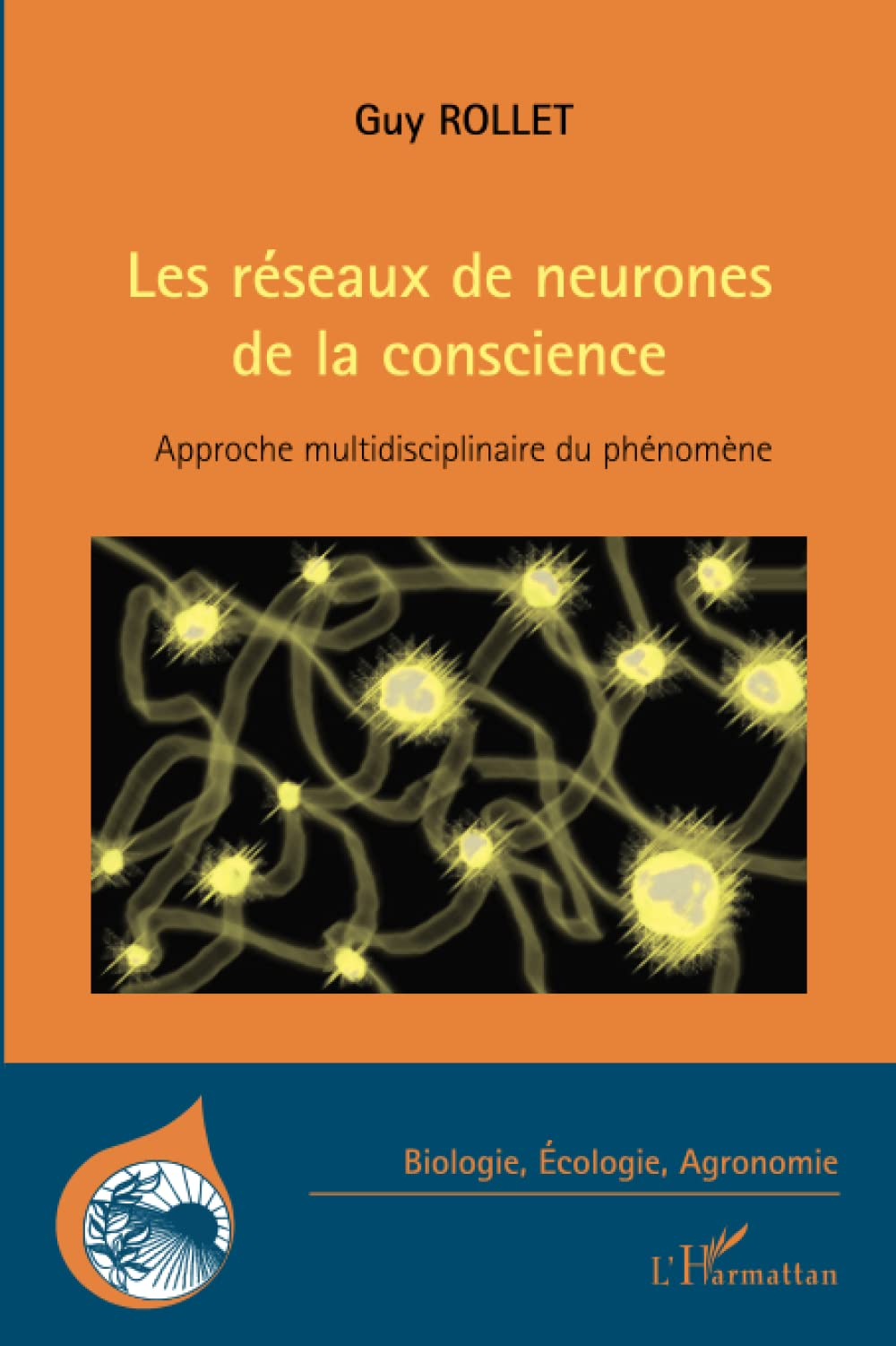 Les réseaux de neurones de la conscience : approche multidisciplinaire du phénomène
