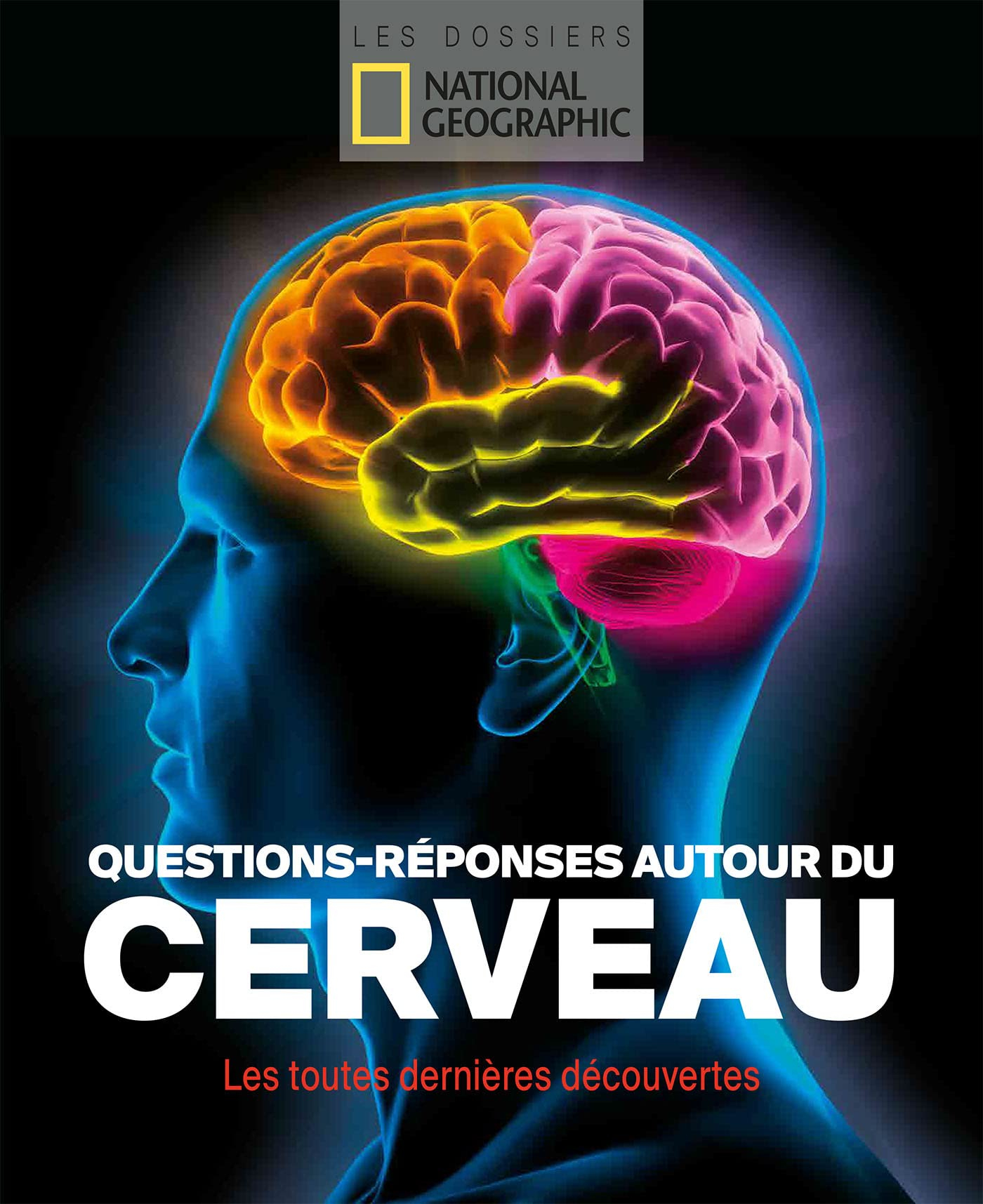 Questions-réponses autour du cerveau : les toutes dernières découvertes