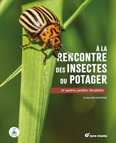 A la rencontre des insectes du potager : et autres petites bestioles